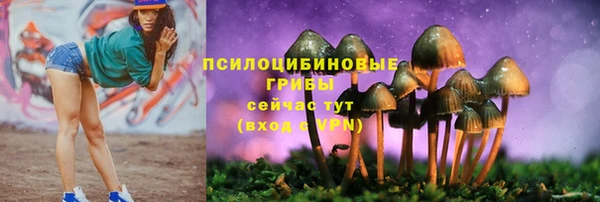 хмурый Киреевск